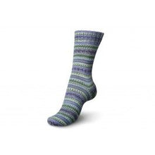 Load image into Gallery viewer, Schachenmayr Regia Design Line Colours by Arne & Carlo and Kaffe Fassett