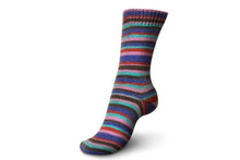 Load image into Gallery viewer, Schachenmayr Regia Design Line Colours by Arne & Carlo and Kaffe Fassett