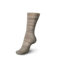 Load image into Gallery viewer, Regia 4 PLY sock yarn