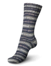 Load image into Gallery viewer, Regia 4 PLY sock yarn