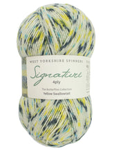Load image into Gallery viewer, West Yorkshire Spinners WYS sock yarn