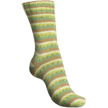 Load image into Gallery viewer, Schachenmayr Regia Tutti Fruiti Cotton