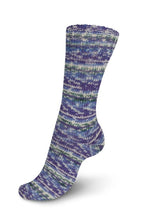 Load image into Gallery viewer, Schachenmayr Regia Design Line Colours by Arne & Carlo and Kaffe Fassett