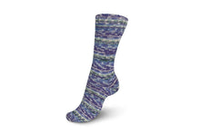 Load image into Gallery viewer, Schachenmayr Regia Design Line Colours by Arne & Carlo and Kaffe Fassett