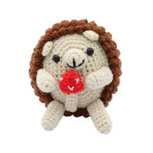 Load image into Gallery viewer, HEART HEDGEHOG DIY CROCHET KIT