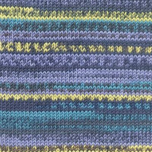 Load image into Gallery viewer, Merino 120 Colour