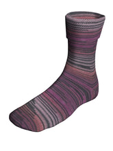 Load image into Gallery viewer, Berroco Sox