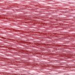 Load image into Gallery viewer, DMC Embroidery Floss - Colours 3827-3866