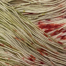 Load image into Gallery viewer, Christmas Vacay Yarns by Baa'd Girls Yarns