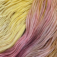 Load image into Gallery viewer, County Vacay Sock by Baa'd Girl Yarns