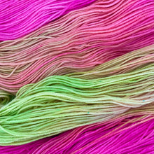 Load image into Gallery viewer, County Vacay Sock by Baa'd Girl Yarns