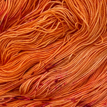 Load image into Gallery viewer, County Vacay Sock by Baa'd Girl Yarns