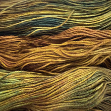 Load image into Gallery viewer, County Vacay Sock by Baa'd Girl Yarns