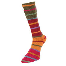 Load image into Gallery viewer, Evolution Strip & Celebration Sock 4 ply