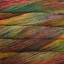 Load image into Gallery viewer, Malabrigo Rios