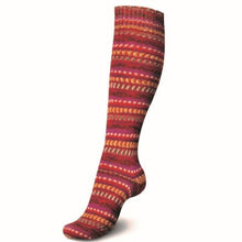 Load image into Gallery viewer, Regia 4 PLY sock yarn