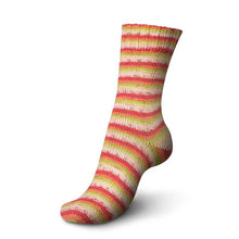Load image into Gallery viewer, Schachenmayr Regia Tutti Fruiti Cotton