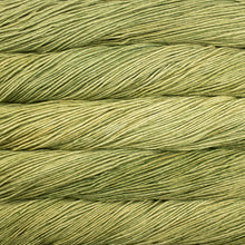Load image into Gallery viewer, Malabrigo Rios