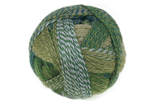Load image into Gallery viewer, Zauberball Crazy by Schoppel
