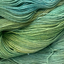 Load image into Gallery viewer, County Vacay Sock by Baa'd Girl Yarns