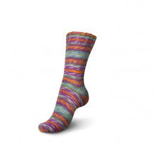 Load image into Gallery viewer, Schachenmayr Regia Design Line Colours by Arne & Carlo and Kaffe Fassett