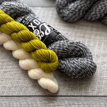 Load image into Gallery viewer, Sock Sets by Leo & Roxy