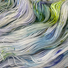 Load image into Gallery viewer, County Vacay Sock by Baa'd Girl Yarns