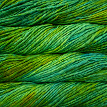 Load image into Gallery viewer, Malabrigo Rasta