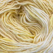 Load image into Gallery viewer, Drunken Spinner by Baa'd Girls Yarns