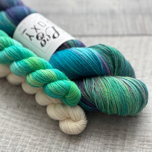 Load image into Gallery viewer, Sock Sets by Leo & Roxy