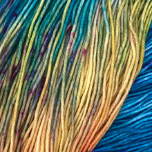 Load image into Gallery viewer, County Vacay Sock by Baa'd Girl Yarns