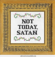 Load image into Gallery viewer, Subversive Cross Stitch Kits