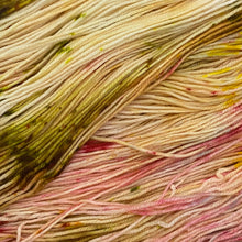 Load image into Gallery viewer, County Vacay Sock by Baa'd Girl Yarns