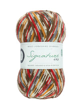 Load image into Gallery viewer, West Yorkshire Spinners WYS sock yarn