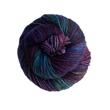 Load image into Gallery viewer, Malabrigo Arroyo