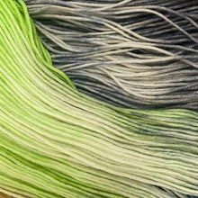 Load image into Gallery viewer, County Vacay Sock by Baa'd Girl Yarns