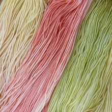 Load image into Gallery viewer, County Vacay Sock by Baa'd Girl Yarns