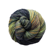 Load image into Gallery viewer, Malabrigo Arroyo