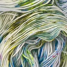 Load image into Gallery viewer, County VACAY DK by Baa'd Girl Yarns