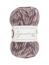 Load image into Gallery viewer, West Yorkshire Spinners WYS sock yarn
