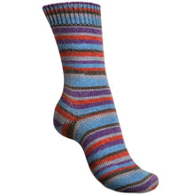 Load image into Gallery viewer, Schachenmayr Regia Design Line Colours by Arne & Carlo and Kaffe Fassett