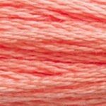 Load image into Gallery viewer, DMC Embroidery Floss - Colours 3011-3826