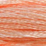 Load image into Gallery viewer, DMC Embroidery Floss - Colours 1-600