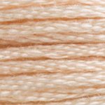 Load image into Gallery viewer, DMC Embroidery Floss - Colours 3011-3826