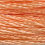Load image into Gallery viewer, DMC Embroidery Floss - Colours 3011-3826