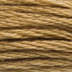 Load image into Gallery viewer, DMC Embroidery Floss - Colours 3827-3866