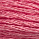 Load image into Gallery viewer, DMC Embroidery Floss - Colours 3827-3866