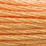 Load image into Gallery viewer, DMC Embroidery Floss - Colours 3827-3866