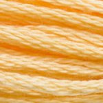 Load image into Gallery viewer, DMC Embroidery Floss - Colours 3827-3866