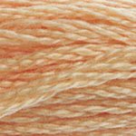 Load image into Gallery viewer, DMC Embroidery Floss - Colours 3827-3866